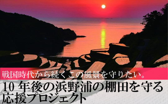 浜野浦の棚田米 10kg / 米 お米 精米 白米 新米 ご飯 棚田 産地直送 数量限定 佐賀県 玄海町 常温 送料無料