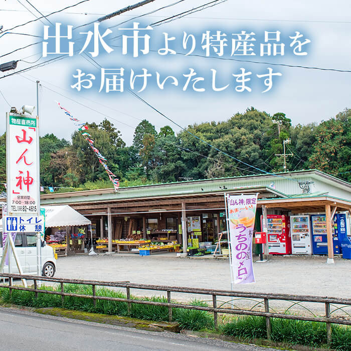 i403 ＜2026年1月上旬から4月上旬の間に発送！＞【期間・数量限定】いちご紅ほっぺ(計約1kg・250g×4P) いちご 苺 イチゴ 果物 くだもの フルーツ 旬 甘酸っぱい 紅ほっぺ 鹿児島県産 高尾野産 高床式栽培 【山ん神】