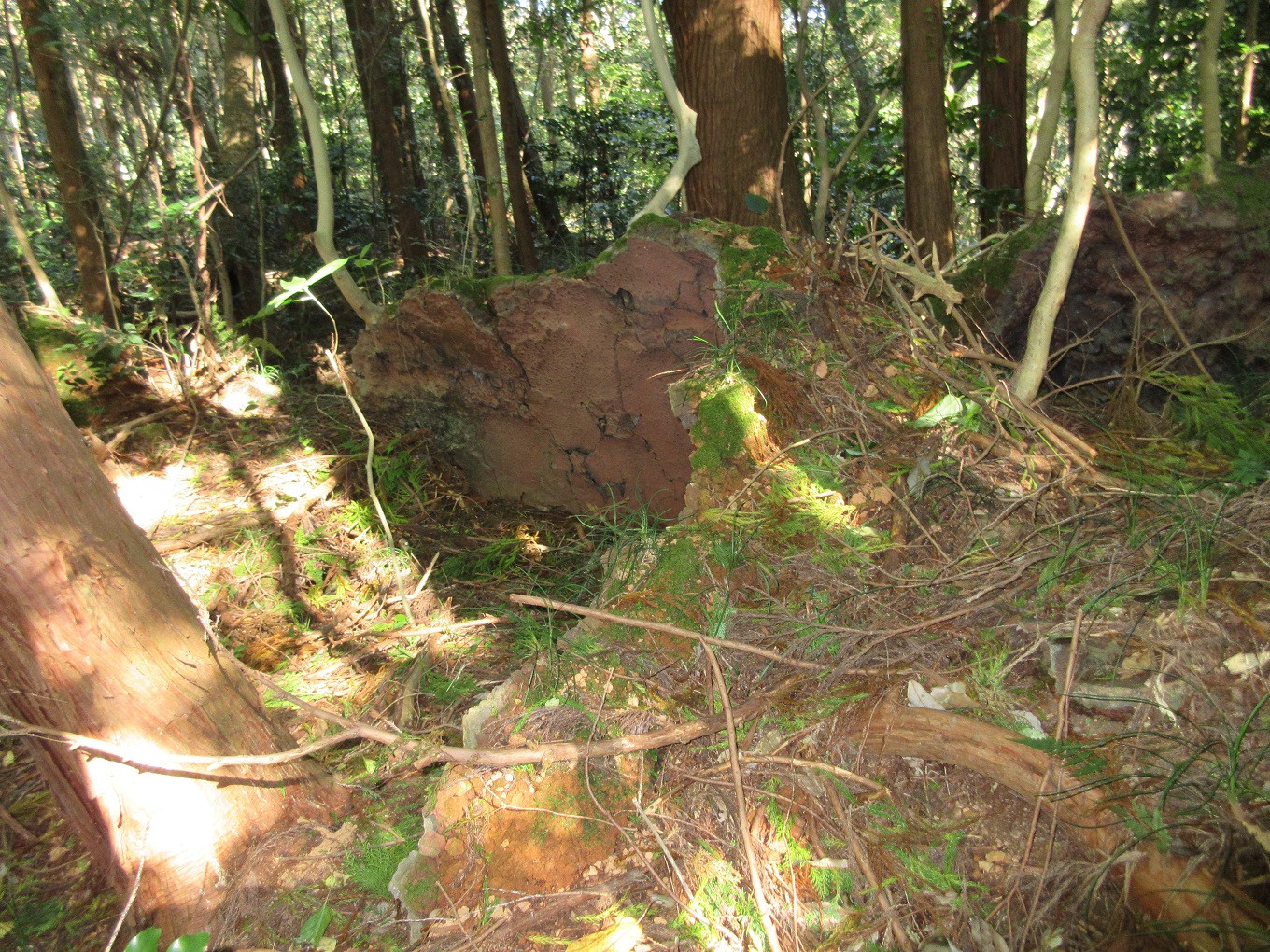南波多町まちづくり運営協議会の活動を応援!【思いやり型返礼品(協賛型)】 123-O024