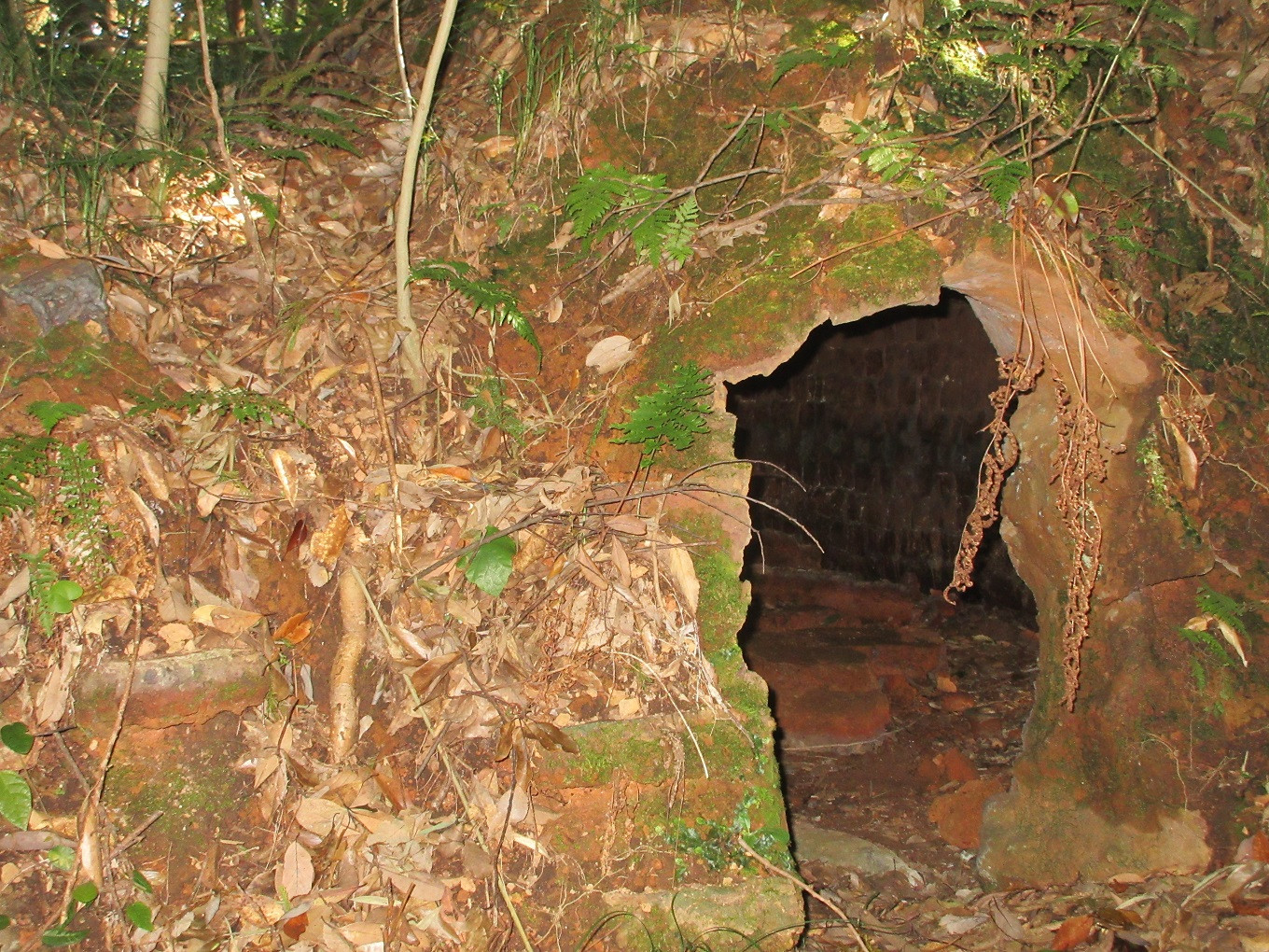 南波多町まちづくり運営協議会の活動を応援!【思いやり型返礼品(協賛型)】 123-O024