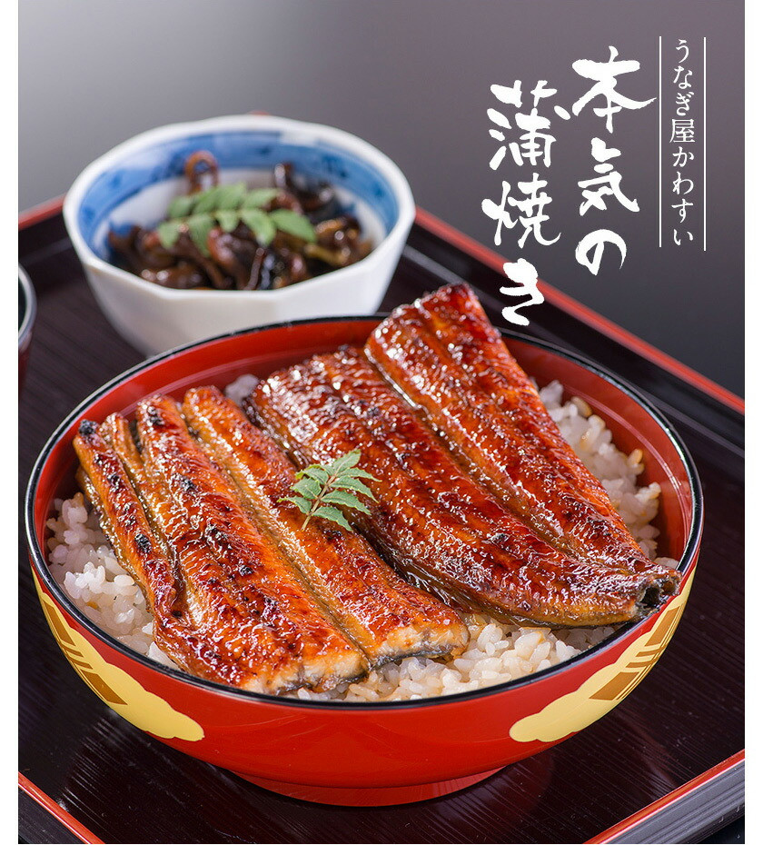 国産うなぎ蒲焼2本セット(120~149g)(A268-1)