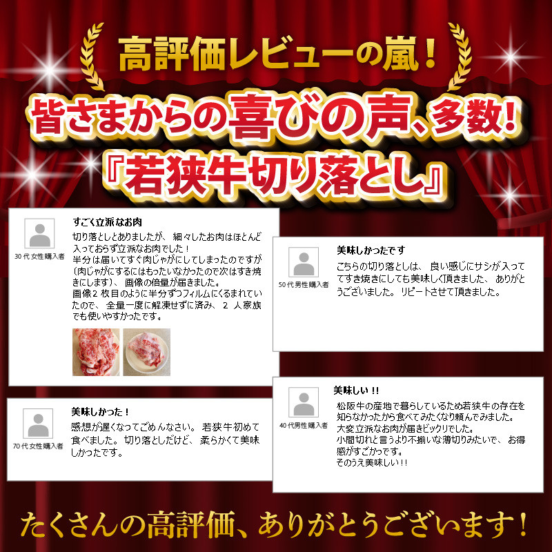 【3ヶ月連続お届け】 若狭牛ふるさと定期便A [C-2209]