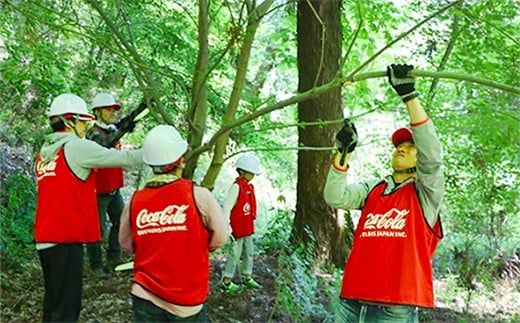 【定期便3回】い・ろ・は・す（いろはす）阿蘇の天然水 2L 計12本×3回