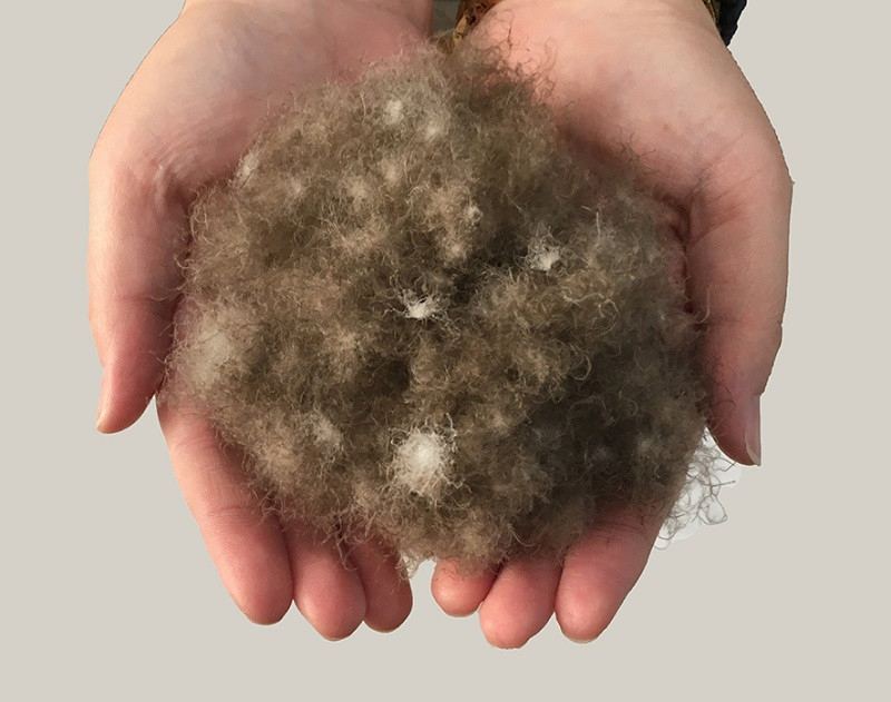 【モダンスタイル】掛布団カバー（グレース／ボルドー）【クイーン：220ｃｍ×210ｃｍ】【サンモト】｜掛布団カバー　クイーン　綿１００％　日本製　