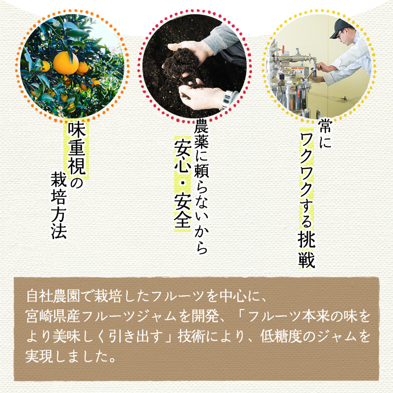 宮崎県産フルーツ 季節のお楽しみジャムセット(150g×4種セット)_M057-003