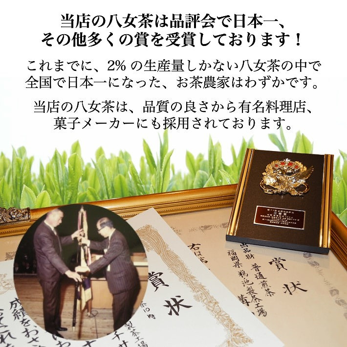自社製造の深蒸しの八女茶!食事に合うお茶!豊の抄(ゆたかのしょう)100g入り