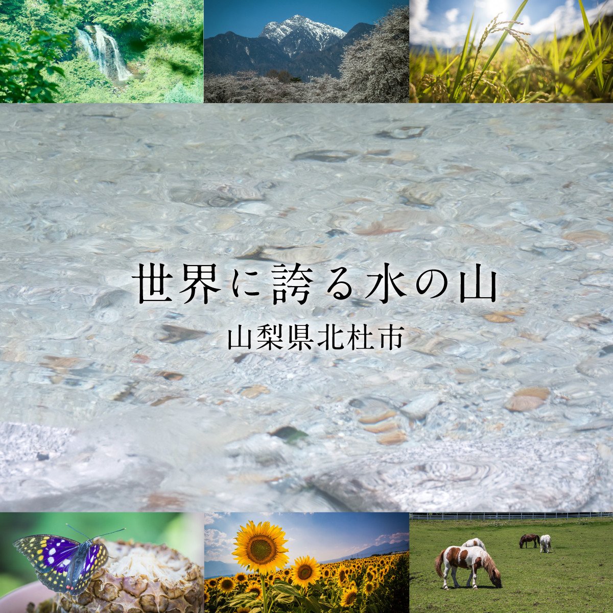 カゴメ 野菜一日これ一本 超濃縮 鉄分&葉酸 125ml 紙パック 24本入 (野菜ジュース) カゴメ 野菜一日これ一本 超濃縮 鉄分&葉酸 125ml 紙パック 24本入 野菜ジュース 濃縮ジュース 名水仕込 これ1本 無添加 野菜不足 350g 30品目 健康志向 飲料