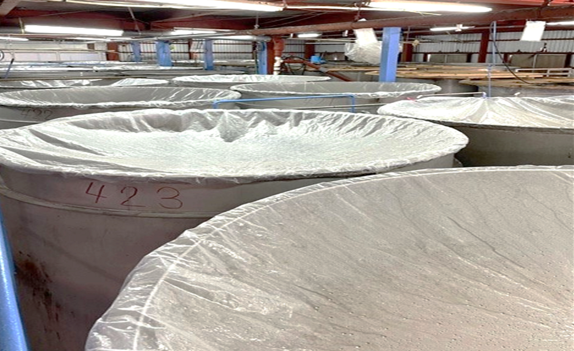 【黒糖焼酎】俊寛 (30度・1800ml・壺入り)【喜界島酒造】