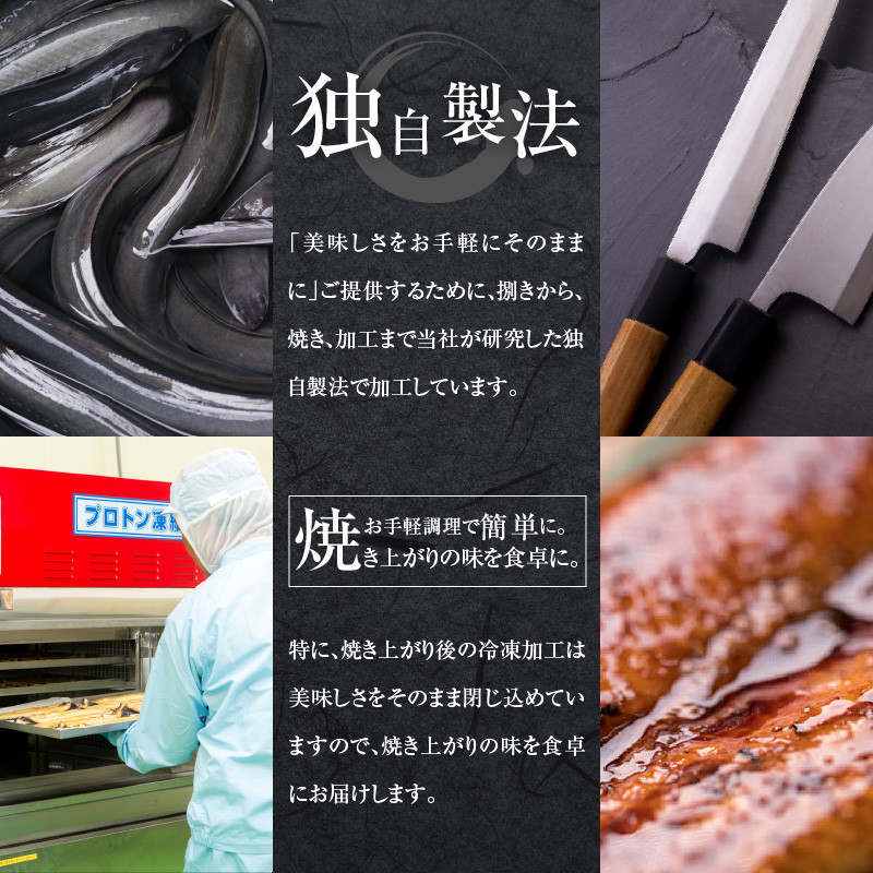 鰻蒲焼 大サイズ2尾セット 冬うなぎ_M069-008_03