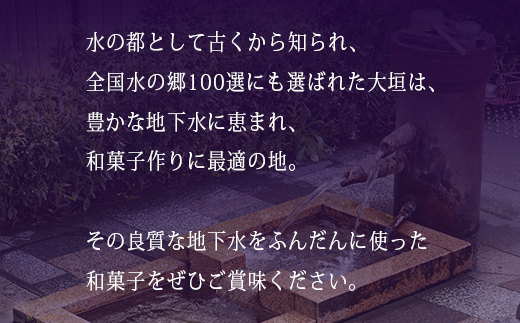 ＼岐阜の定番／ 若鮎 鮎菓子 20個 餅 スイーツ デザート まんじゅう 和菓子 銘菓 人気 お土産 名産 ご当地 お土産 プレゼント ギフト 金蝶園 総本家 郭町 岐阜県 大垣市
