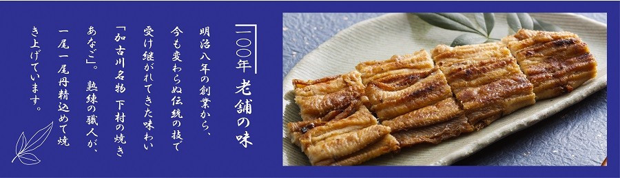 焼あなご(2～3串)《 魚介類 アナゴ 穴子 あなご 焼きあなご 海鮮 天然 ふるさと納税 あなご 加古川市 パリパリ 美味しい 穴子丼 串焼き お取り寄せ 人気 ギフト プレゼント おすすめ 》【2402D00701】