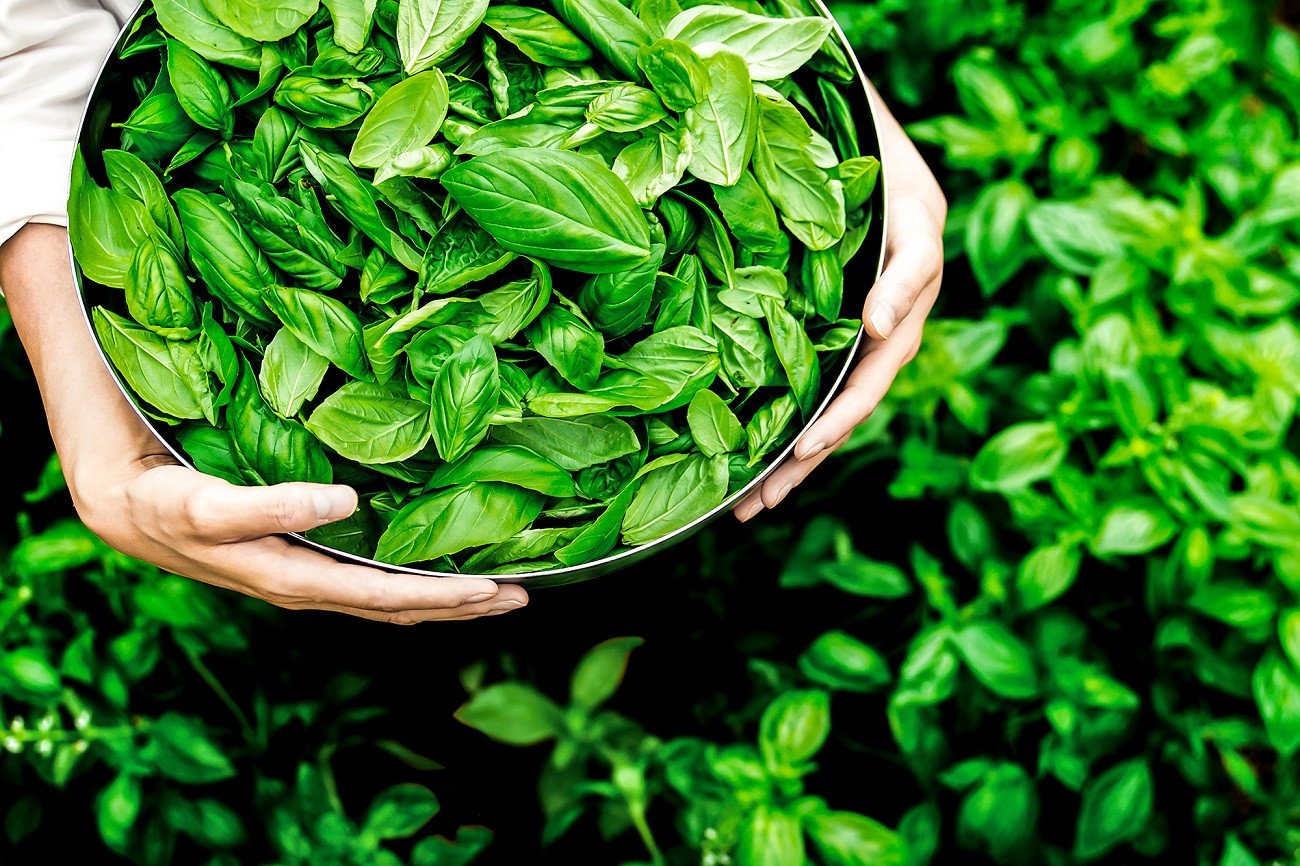 【2-91】専門店のパスタソースセットM