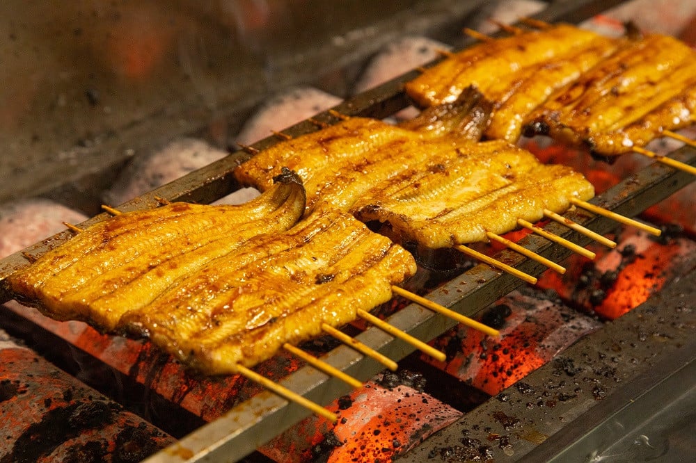 【超特大サイズ】山梨県産富士山脈の地下水うなぎ蒲焼1尾220g以上+100g肝焼きセット 138-005