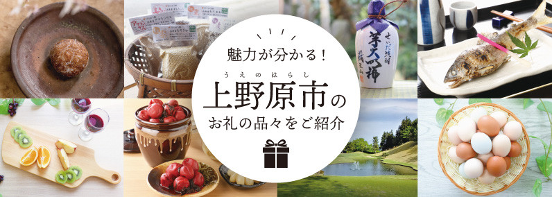 【ふるさと納税限定】風林亭ランチコース(1名様)