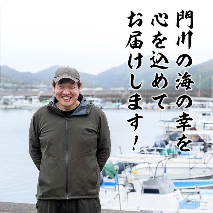 岩田水産の「訳あり干物セット」(合計3.2kg以上・5種以上)ひもの 簡単 調理 冷凍 魚 海鮮 あじ ちりめん さば さごし かます めひかり いりこ 詰め合わせ 個包装 小分け 宮崎県 門川町【AS-2】【岩田水産】