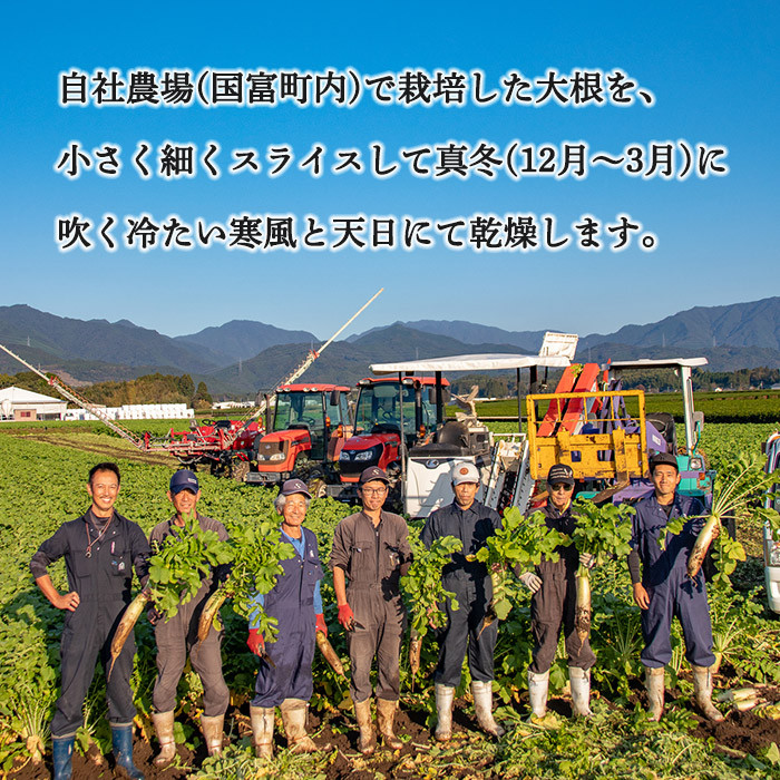 ＜切干大根　15袋セット＞【せんぎり 大根 千切り大根 切り干し大根 切干し大根 切干大根 野菜 常備野菜 煮物 乾物 だいこん ダイコン サラダ お味噌汁 】翌月末迄に順次出荷