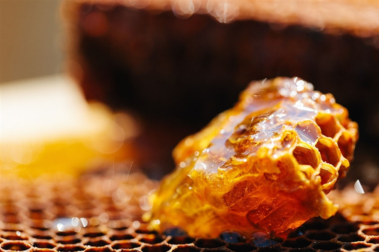 【HONEY.K】《土からつくる京都生蜂蜜》京百花 木箱（250g×2本入り）