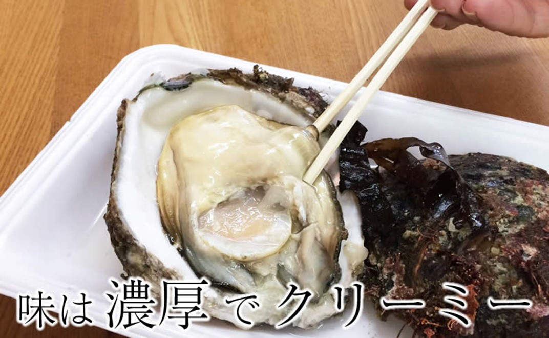 【先行予約】天然岩牡蠣 殻付き 生食 特大サイズ 4個 天然 岩ガキ 産地直送 冷蔵 鮮度抜群 牡蠣殻付き 大粒 ぷりぷり 濃厚 クリーミー 柴垣 天然岩ガキ 岩牡蠣 新鮮 牡蠣 カキ 海鮮 肉厚 旨味 凝縮 魚介類 魚貝類 父の日 能登半島 石川県産 生牡蠣 岩がき 柴垣漁港 しばがきぎょこう 石川 能登 のととき トキ 放鳥地 羽咋