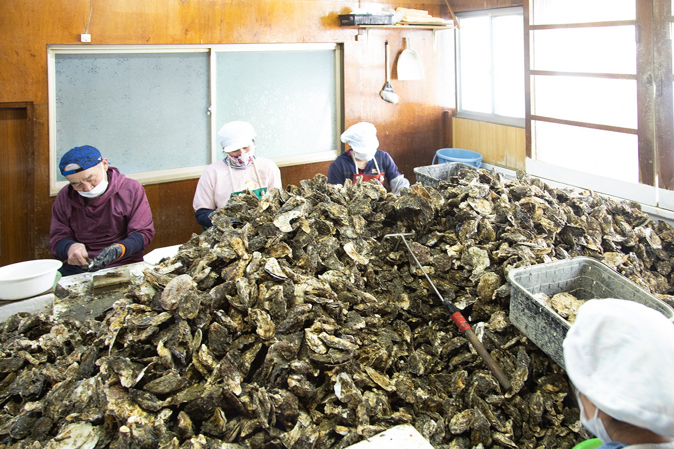 牡蠣 冷凍 蒸し牡蠣 内閣総理大臣賞 受賞 大粒 1kg （500g×2箱） MSC認証 マルト水産 岡山県邑久町虫明産 かき カキ 貝 海鮮 魚介類 魚介 [№5735-0816]