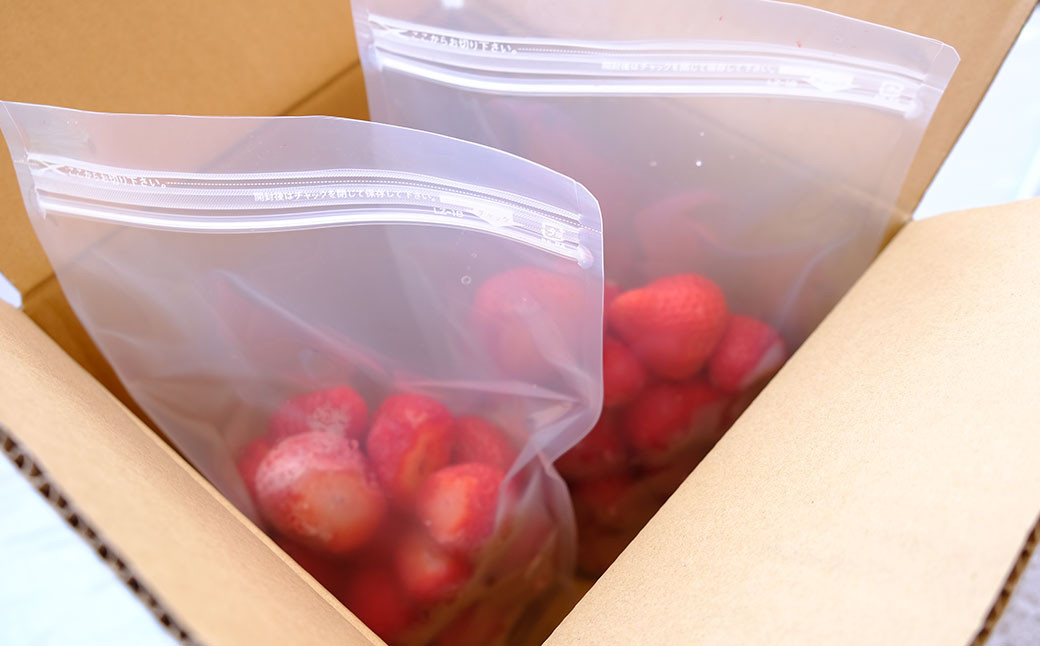 いちご ふわっと溶ける贅沢スイーツ 削りいちご 600g 練乳付き イチゴ 苺 果物 デザート ベリー畑 福田ファーム ※配送不可：沖縄、離島