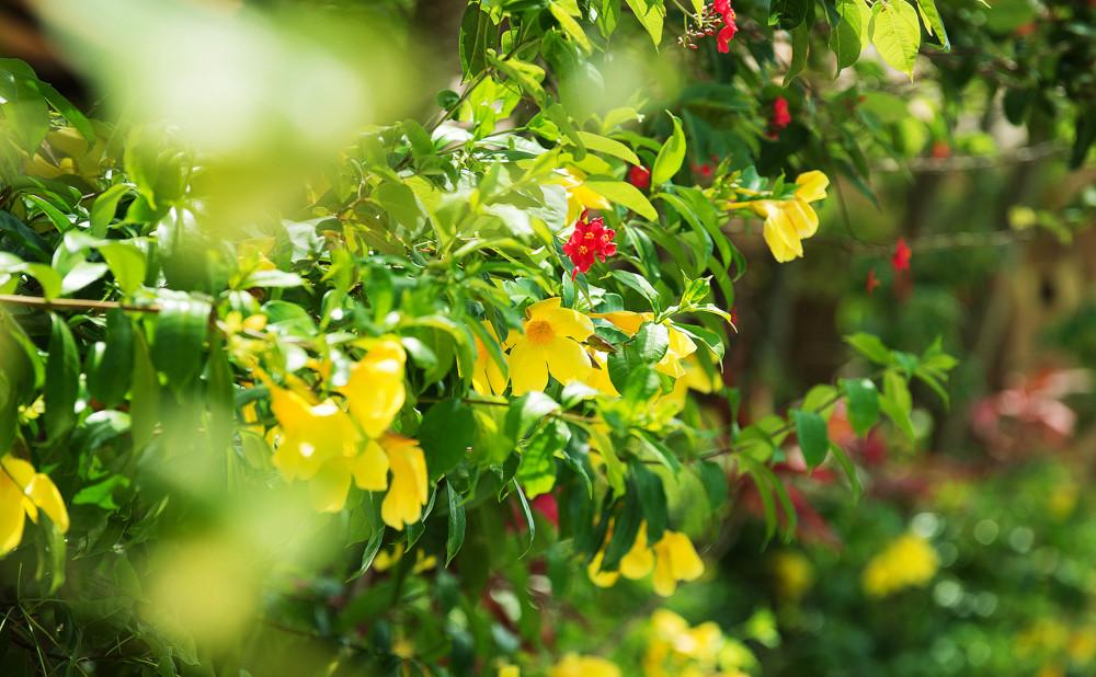 THE SHIGIRA ペア宿泊券　※「シギラスタイルのオールインクルーシブ」という贅沢