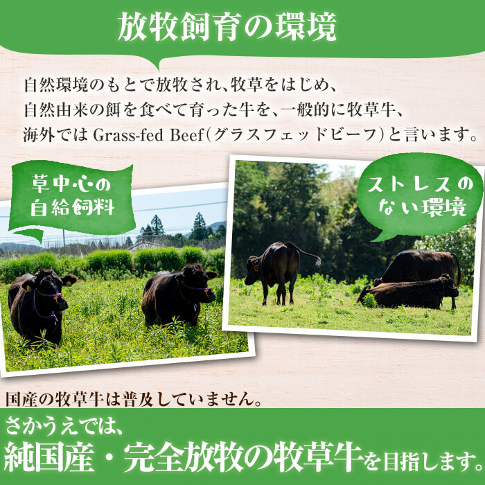 国産黒毛和牛 牧草育ちの里山牛 煮込み専用スネ・ネック計1kg(500g×2パック) 黒毛和牛 和牛 肉 牛肉 国産 スネ ネック 煮込み ブロック 赤身 a9-021