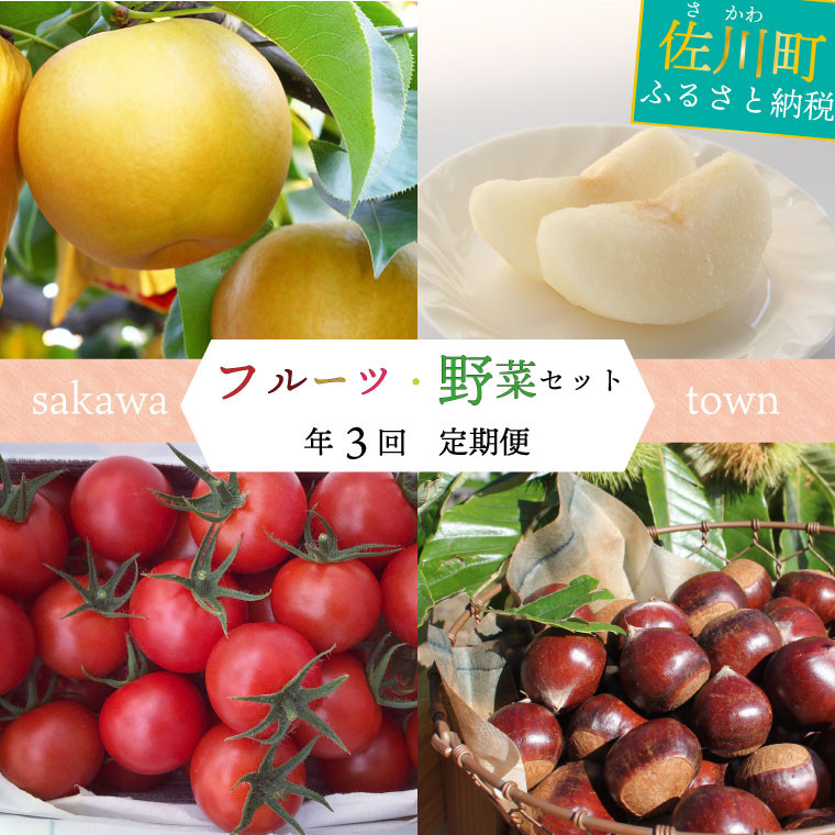 【年3回】フルーツ・野菜定期便 梨 栗 トマト