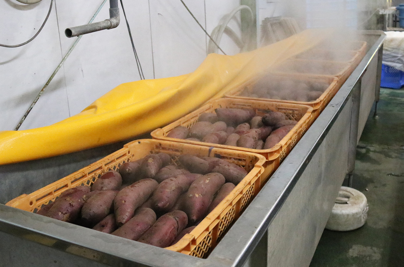 干し芋8個セット