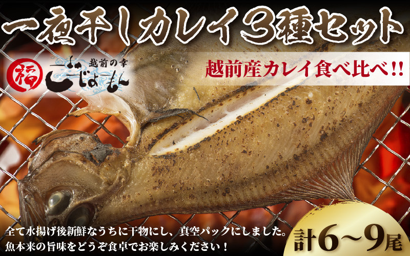 越前産 かれい 「一夜干しカレイ3種セット（合計6～9尾）」 [e15-a001]