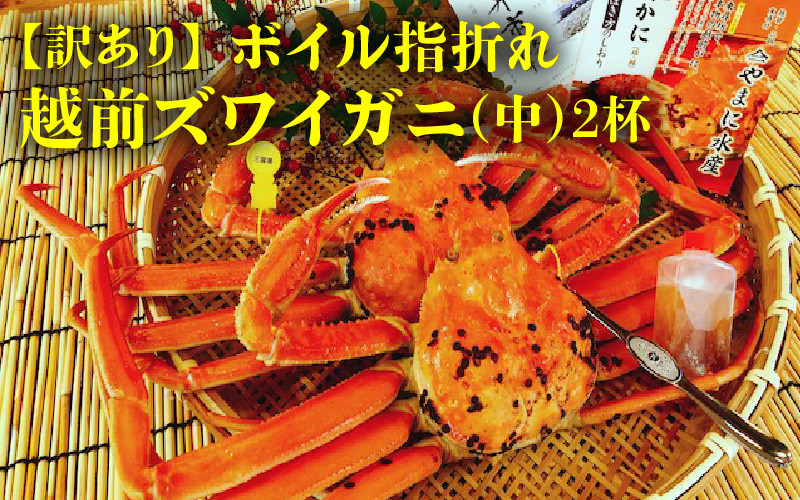 【先行予約】名人が茹でる とれたて指折れ越前がに(中) 2杯【3月発送分】 [J-4304_03]