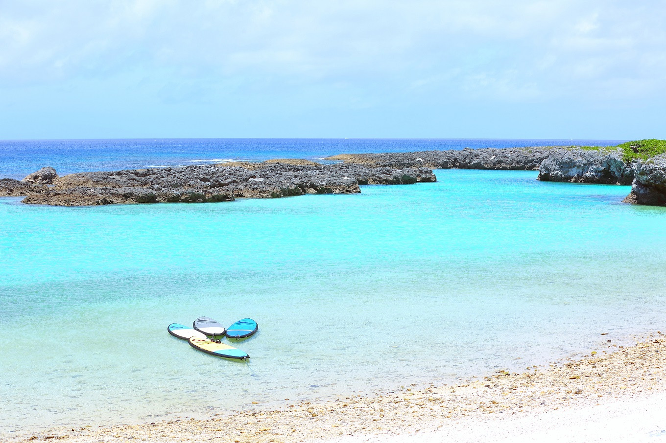 【粉】挽きたてコーヒー(深煎り)インドネシア・マンデリン 400g