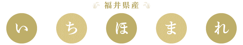 令和7年産 いちほまれ 2kg「福井県ブランド米」 特A通算7回獲得！【お試し米】お米  福井県産【白米】 【お米 2キロ 精米 人気品種】 [e30-a098]