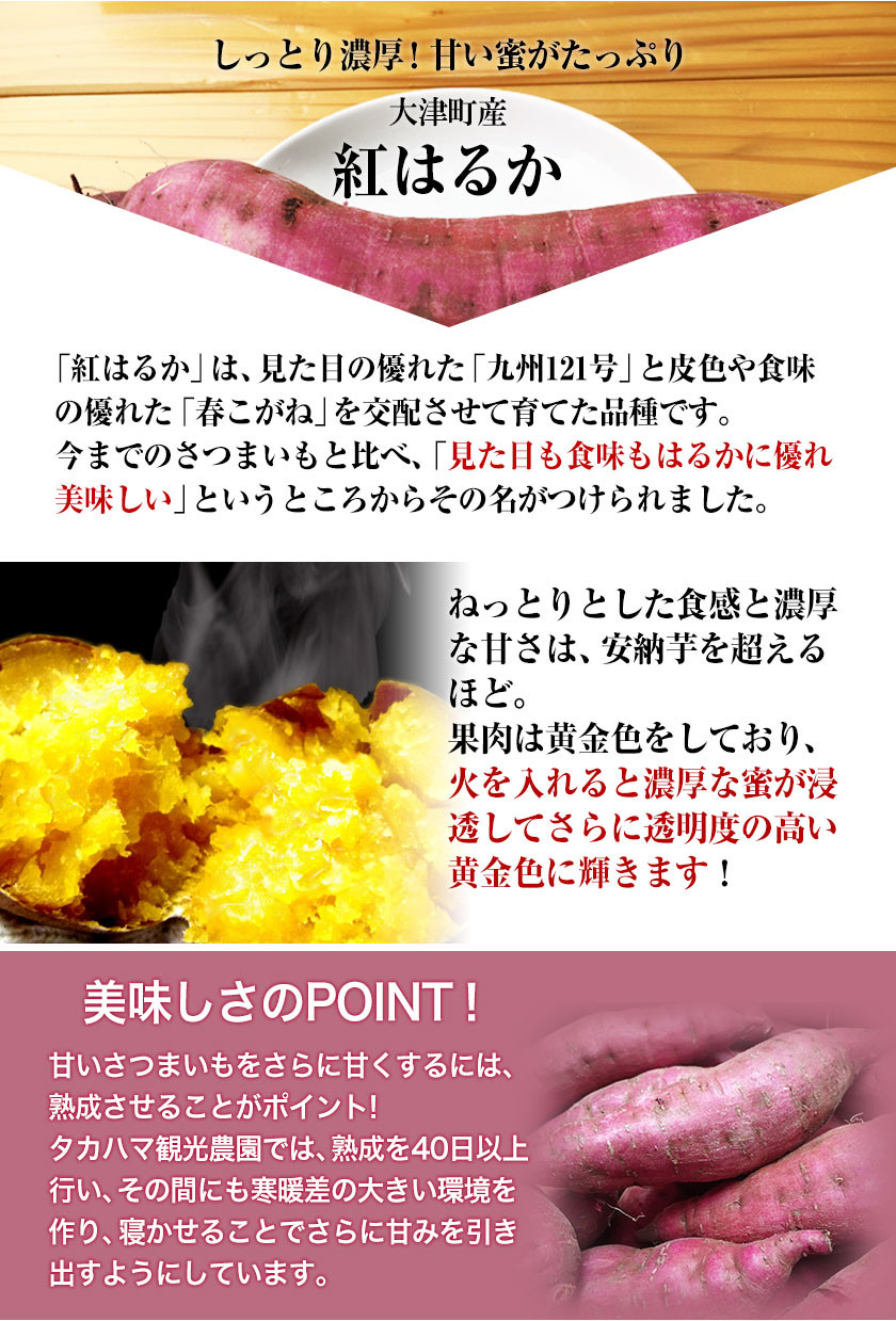 熊本県 大津町産 タカハマ観光農園 の 紅はるか 約 3kg 大中小ミックス《2026年1月上旬-6月末頃出荷》 さつまいも 芋 スイートポテト 干し芋にも