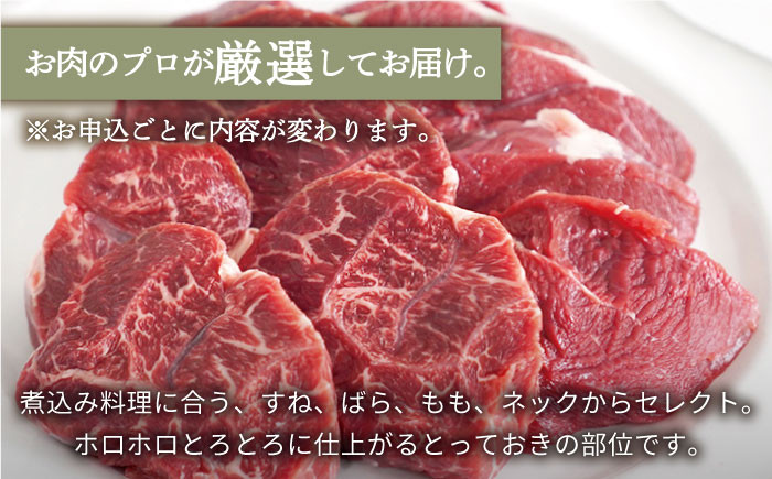 【牧場直送】【12回定期便】佐賀県産 しろいし牛 とろり 煮込み用 700g【佐賀セントラル牧場】佐賀県産 肉 お肉 牛肉 カレー シチュー スネ ネック 九州 佐賀県 白石町 [IAH141]