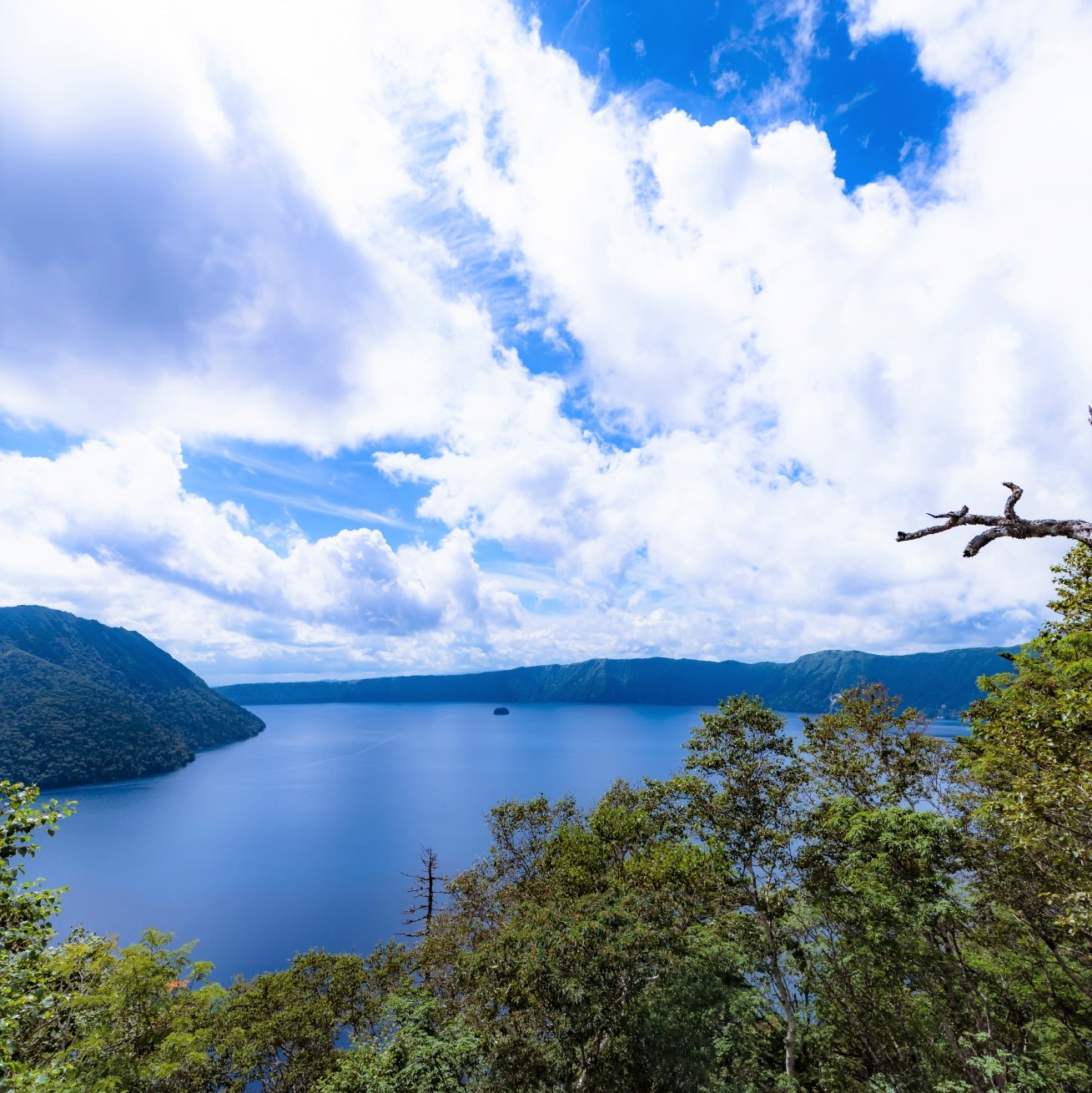 北海道産 べつかいの 牛乳屋さん  牛乳 200ml×16本 ＆ 飲むヨーグルト 130ml×10本 2種（プレーン5本/ いちご5本）  セット（牛乳 ヨーグルト 北海道 別海 飲むヨーグルト ミルク ふるさとチョイス ふるさと納税 仕組み キャンペーン 限度額 計算 ランキング やり方 シミュレーション チョイス チョイスマイル ）