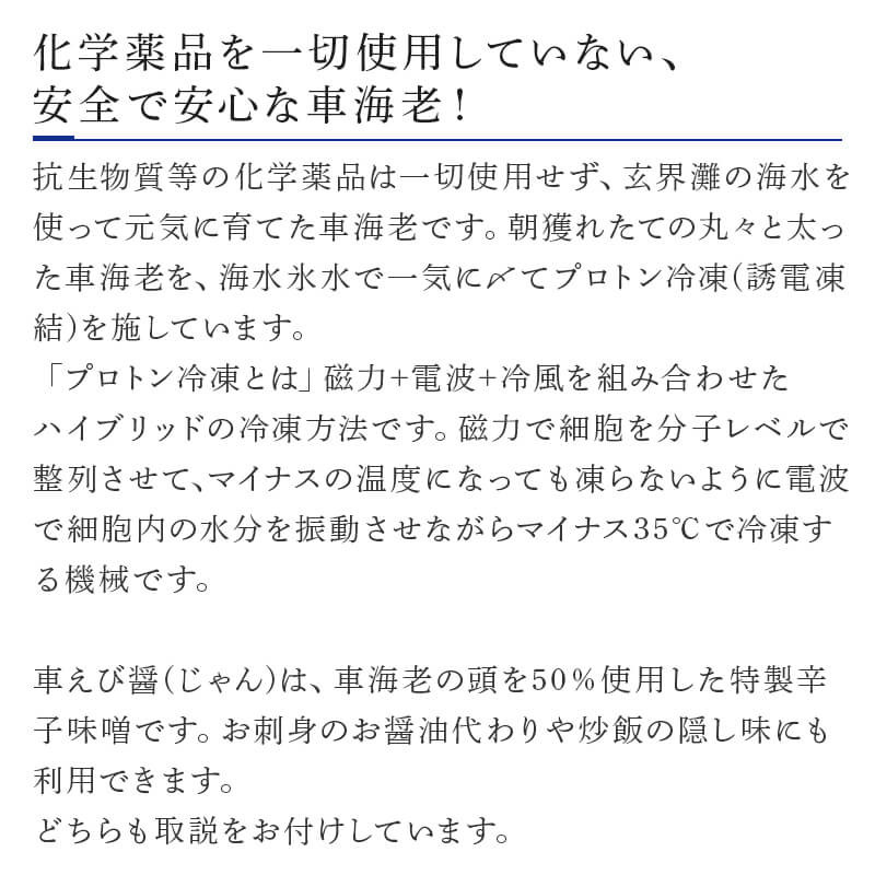 唐津特産活プロトン冷凍車海老と車えび醤(じゃん)のセット(250g×2P 醤90g) 刺身 フライ 煮付 ギフト