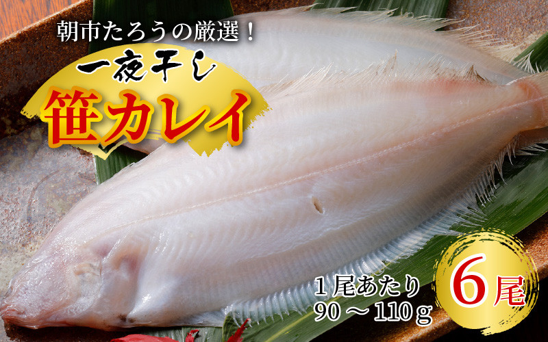 朝市たろうの厳選！ 一夜干し 笹カレイ 6尾！！ [A-12302]