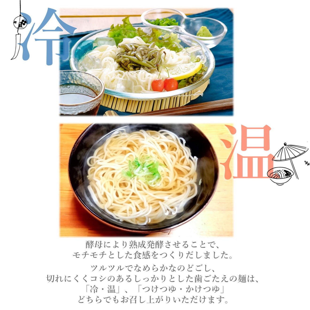 能代うどん 和風パスタ 食べ比べ 乾麺 2種 詰合せ 「しらかみ美人」「ノシロチーネ」各5束 セット