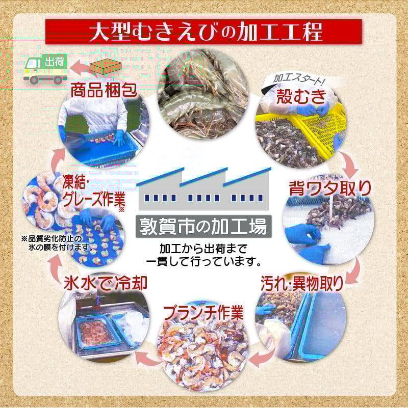 定期便 ≪12ヶ月連続≫ 【背わたなし】 特大 高級ブラックタイガー(大型むきえび)約1kg(解凍時800g前後)/約40〜70尾【甲羅組 敦賀 下処理不要 むきエビ えび エビ 海老 人気 冷凍 使いやすい 時短 便利 ランキング】