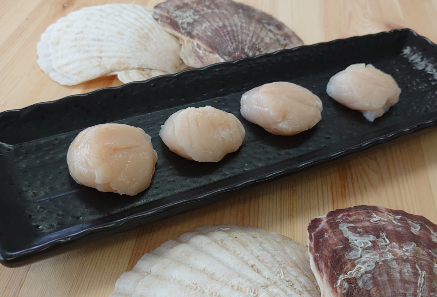 北海道産 活ほたて 2年貝 約 2kg 15枚~22枚 2026年1月中旬~2月上旬頃お届け 殻付き 貝付き 帆立 ホタテ ほたて 貝 魚介 海産 海鮮 貝柱 噴火湾 刺身 焼き フライ 生産者支援 産地直送 送料無料 魚介類 魚貝類