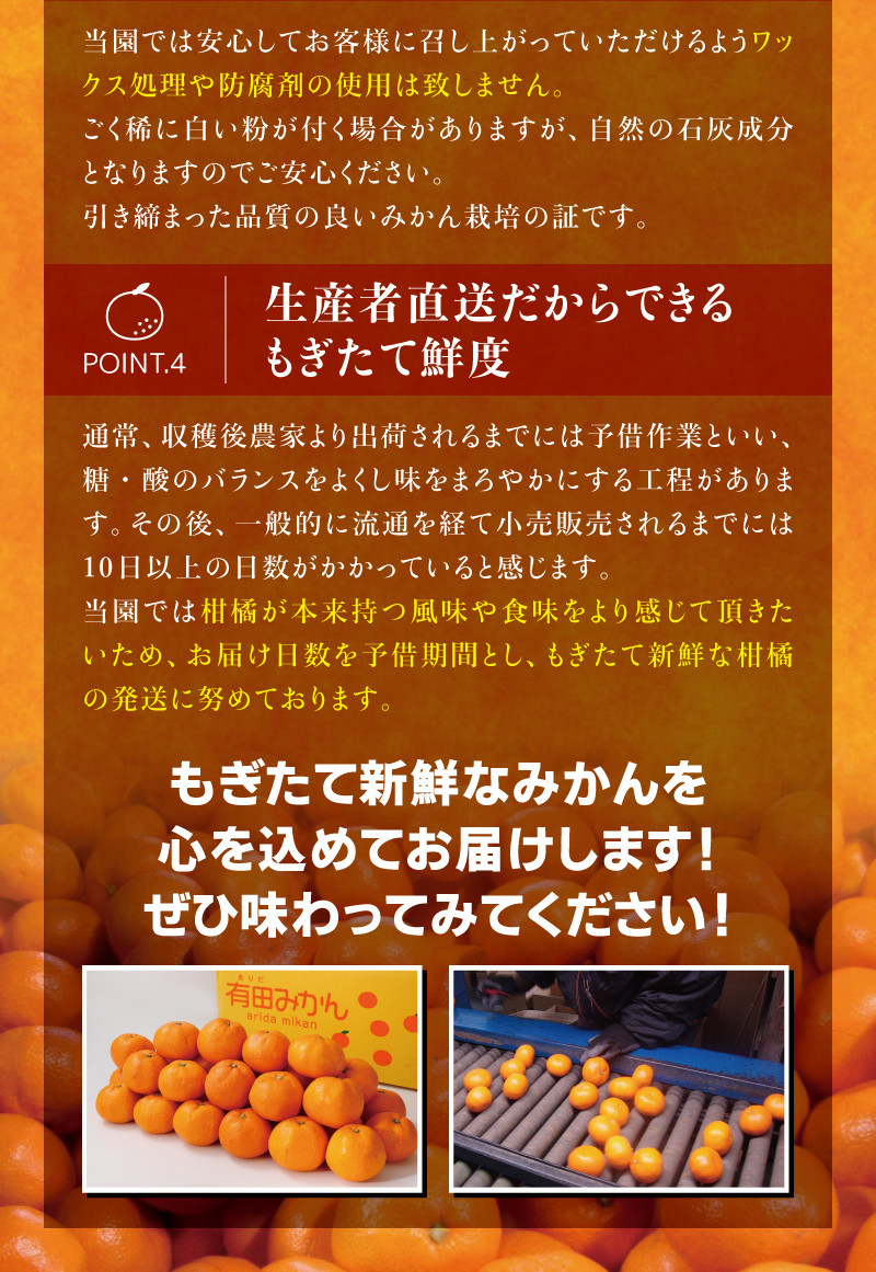 【農家直送】有田みかん 約10kg 大玉3L以上 有機質肥料100% ※2026年11月~12月に順次発送予定(お届け日指定不可) /みかん ミカン 温州みかん 柑橘 有田 和歌山 産地直送【nuk139F】