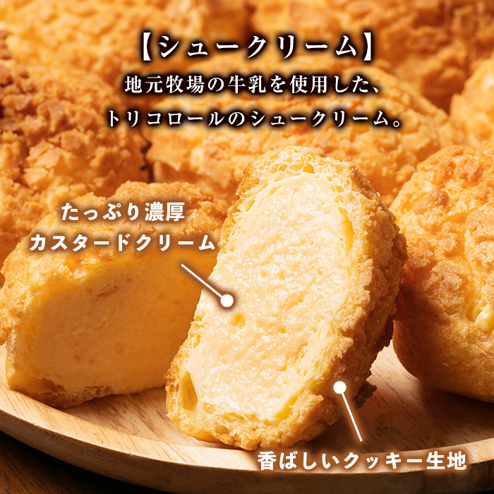 isa246 伊佐銘菓！トリコロールのシュークリーム＜クッキー生地＞(7個) ふるさと納税 伊佐市 特産品 お菓子 洋菓子 スイーツ おやつ 冷凍 冷凍便 家族団欒【ケーキハウストリコロール】