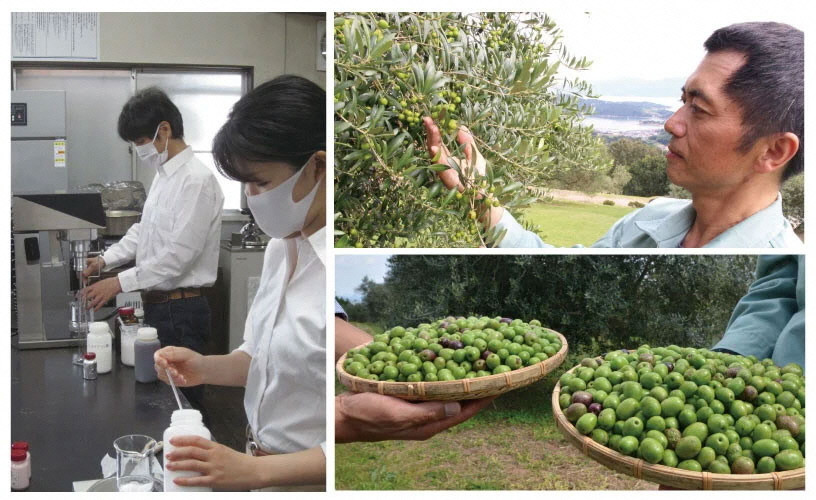 オリーブオイル 有機栽培 エキストラバージン オリーブ オイル 180g 3本 セット オーガニック 調味料 油 オリーブ油 食用油 ギフト [№5735-0577]