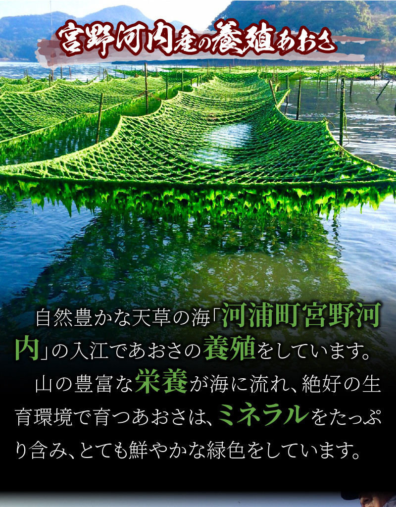 S100-001_天草特産乾燥あおさ25g　6個セット