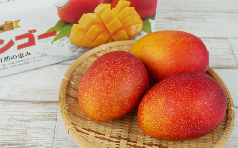 【先行受付】【2026年発送】生産組合が育てる厳選・完熟マンゴー約2kg - 先行予約 沖縄県産 産地直送 南国フルーツ アップルマンゴー 旬の味覚 季節の果物 贈り物 沖縄県 八重瀬町