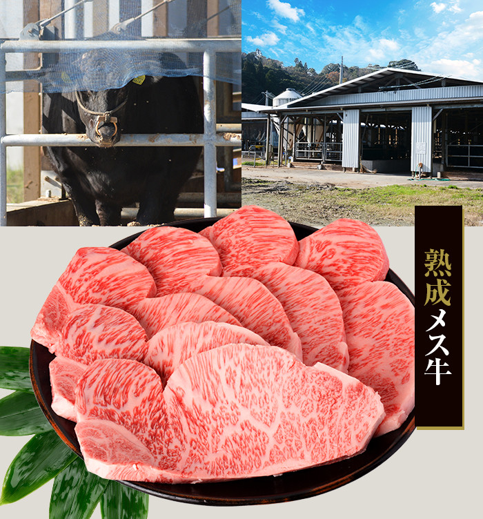 鹿児島県産黒毛和牛ｻｰﾛｲﾝｽﾃｰｷ 1kg 名産鹿児島和牛かんだ本店 鹿児島 黒毛和牛 和牛 サーロイン ステーキ 自社農場 JS-210