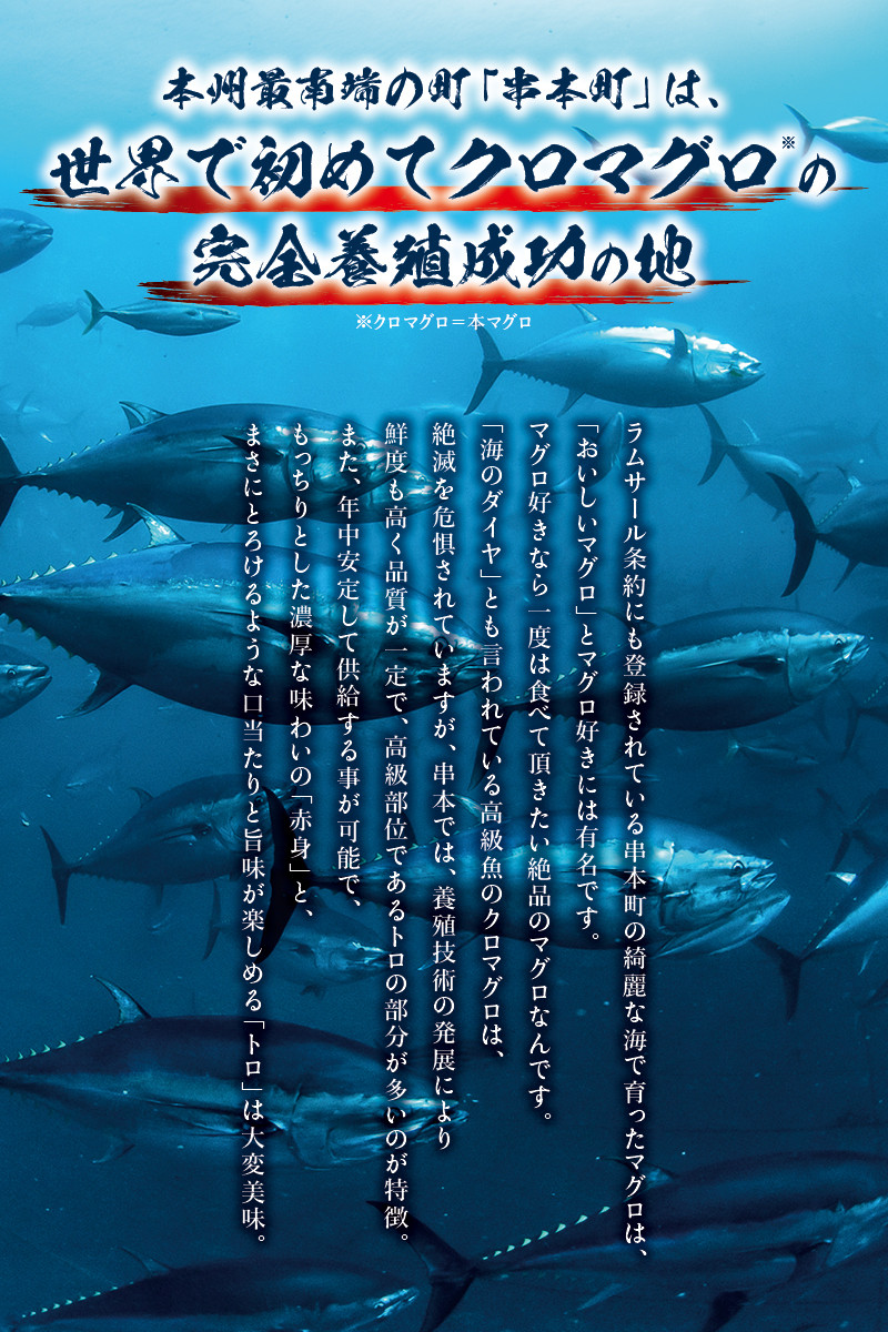本マグロ（養殖）トロ＆赤身セット 3kg 【年末発送（12月25日～29日発送）】【配達日指定不可】高級 クロマグロ 中トロ 中とろ まぐろ マグロ 鮪 刺身 赤身 柵 じゃばらまぐろ 本マグロ 本鮪 年内配送 年内発送 お正月 正月【nks112B-sg】