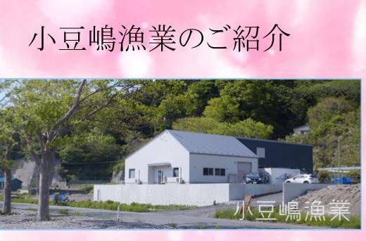 【大槌サーモン】銀鮭 3種 詰合せ 計20切 (西京漬 粕漬 塩)【すごい品掲載】※数量限定※｜福袋 サーモン国産 サーモン切り身 冷凍 小分け 詰め合わせ セット ご当地サーモン 国産 食べ比べ