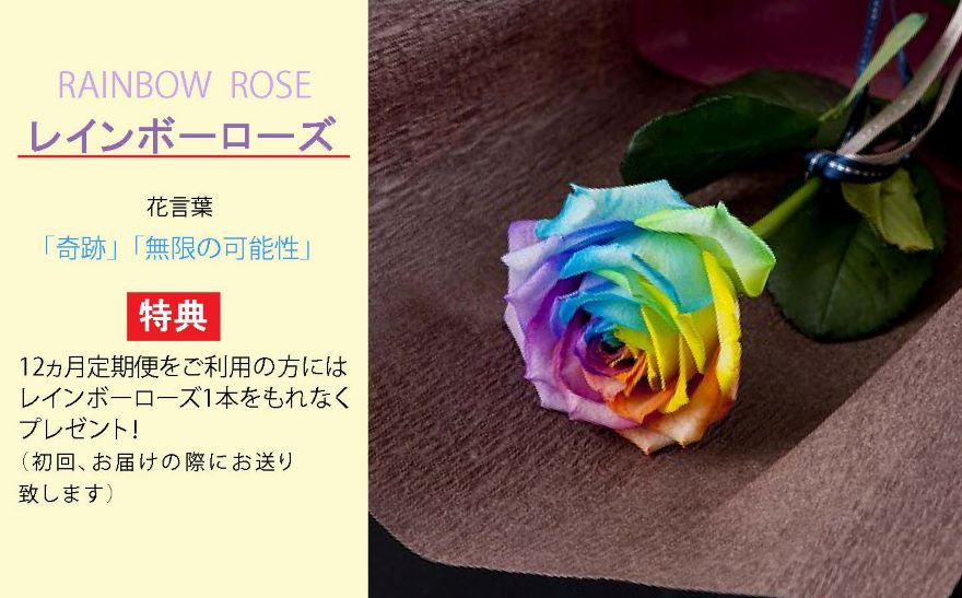 【21D001】　季節の花がギュッと詰まった旬のフラワーアレンジメント Ｍサイズ【12回定期便】