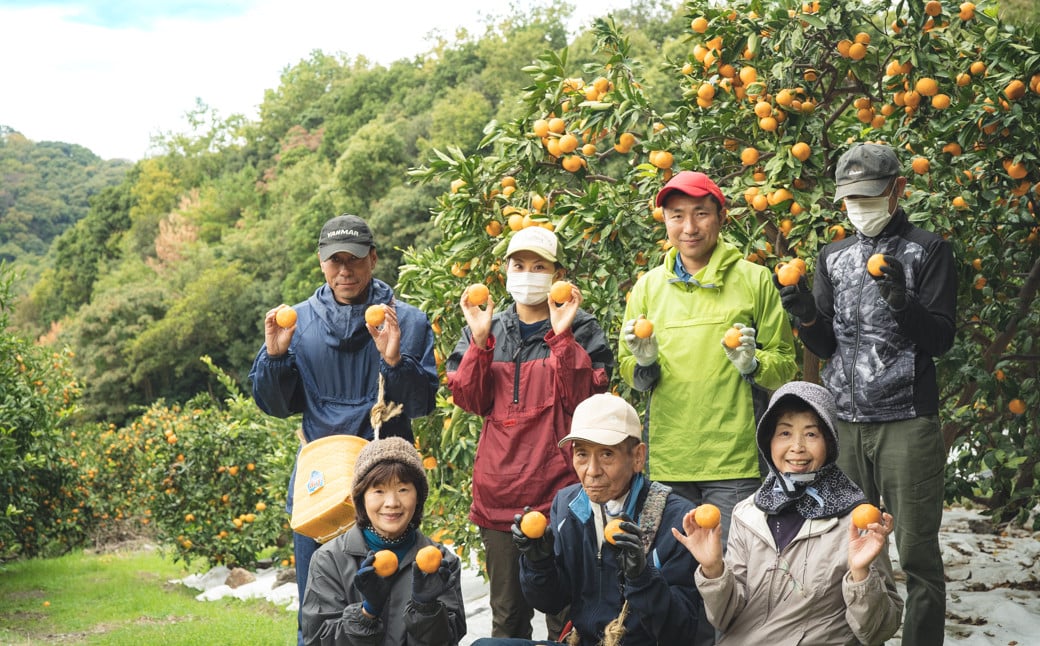 ZP6009n_まるごと三宝柑シャーベット 5個 セット